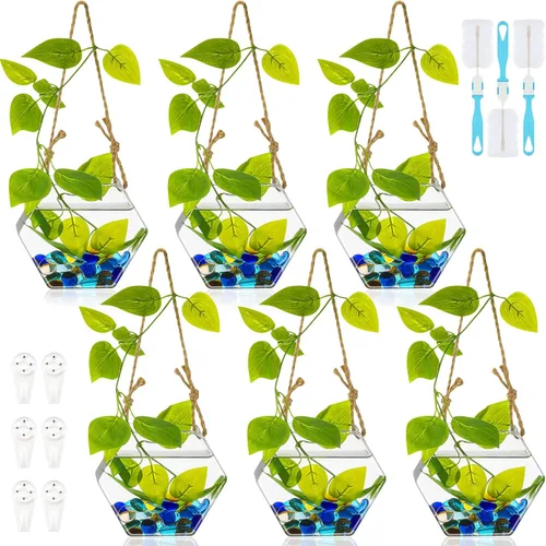 6 Piezas Maceta Colgante de Pared, Macetas de Vidrio para Plantas, Contenedores de Terrario de Agua, Vasos de Pared para Flores, Propagación