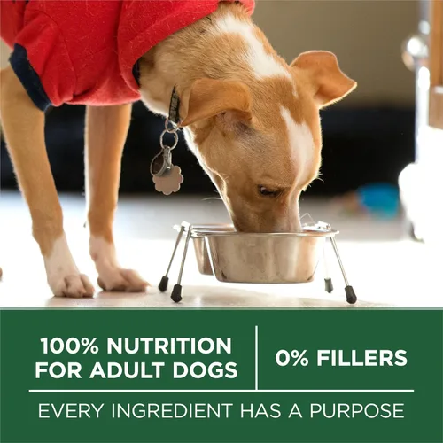 Miniatura 6 de Purina One SmartBlend - Fórmula Natural de Cordero Alimento Seco para Perros Adultos, Razas pequeñas