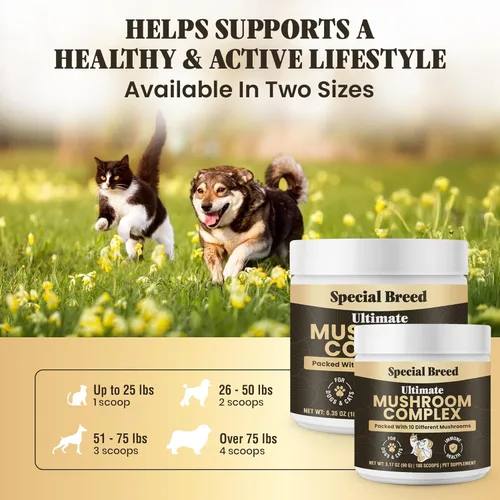 Miniatura 6 de Polvo de hongos para perros y gatos, complejo orgánico de hongos para apoyo inmunológico, cognición, vitalidad, suplemento de diez hongos con cola