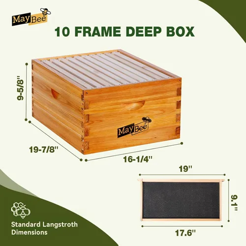 Miniatura 5 de MayBee Colmena Langstroth de 10 marcos sumergida en cera de abejas 100%, kit de iniciación completo de colmenas y suministros para abejas incluye 2