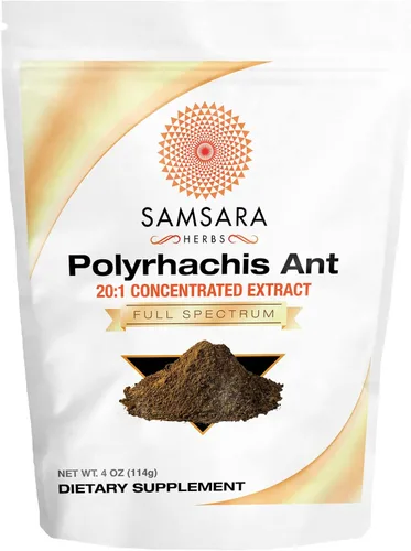 Samsara Herbs Polyrhachis Black Ant Extract Powder - Extracto concentrado 20:1 (4 oz/114 g)