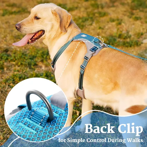 Miniatura 6 de Huntboo Arnés para perro sin tirones, chaleco totalmente reflectante con 2 clips para correa, sin estrangulamiento, ajustable, transpirable