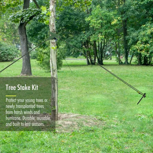 Miniatura 2 de Estacas y soportes para árboles, kit de estaca para árbol de Fetanten con correas para árbol y cuerda en patio al aire libre, 3 piezas