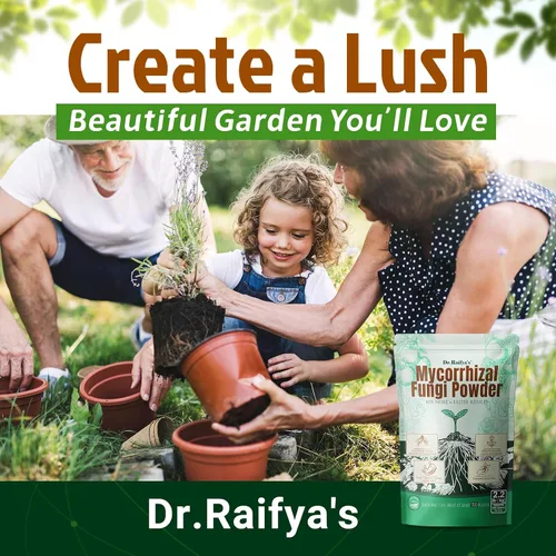 Miniatura 9 de Dr.Raifya's Inoculante de hongos micorrízicos, concentrado 10 veces hasta 700 plantas, estimulador orgánico de raíces para estimular las raíces