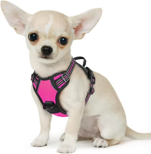 Miniatura 54 de Eagloo Arnés para perro pequeño, sin tirones, chaleco de servicio con tiras reflectantes y asa de control, ajustable y cómodo para caminar, arnés