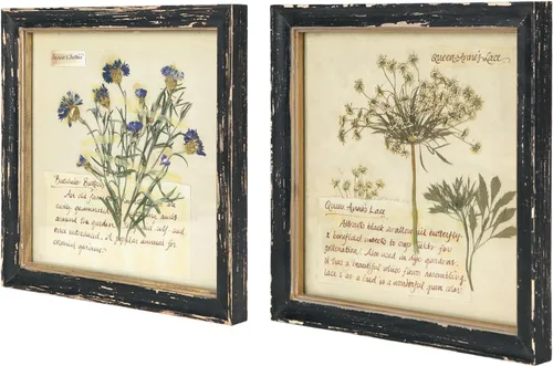 NIKKY HOME Juego de Arte Botánico de Pared de 2 Piezas, Impresiones Botánicas Vintage con Marco de Madera, Cuadros de Plantas Florales, Póster