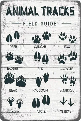 Animal Tracks - Letrero de metal con guía de campo, arte de pared, cabaña de troncos, bosque, caza, guardería de niños, decoración rústica para casa