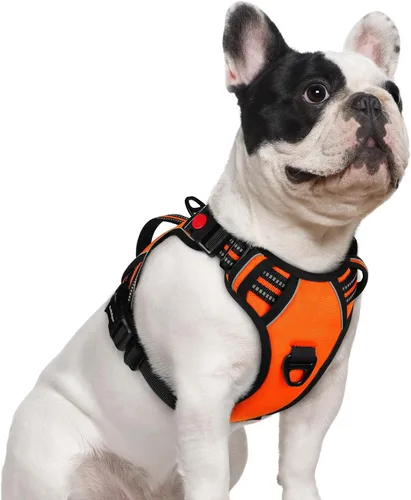Miniatura 9 de rabbitgoo Arnés para perro de tamaño pequeño, arnés para mascotas sin tirones con mango acolchado suave, chaleco reflectante ajustable con 3