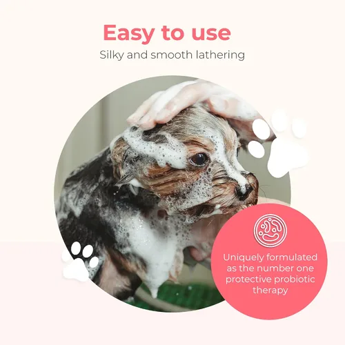 Miniatura 3 de Pawfume Champú y acondicionador para perros, champú hipoalergénico para perros malolientes, los mejores champús y acondicionadores para perros