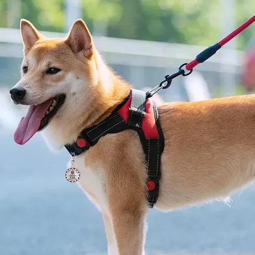 Miniatura 7 de Etiqueta de perro de apoyo emocional, etiqueta de identificación de metal para mascotas, etiqueta ESA, símbolo de alerta médica roja de doble cara