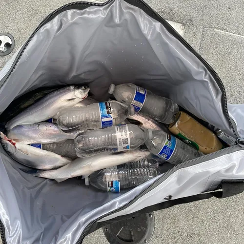 Miniatura 6 de Bolsa enfriadora térmica Buffalo Gear para peces, 40x18 pulgadas 48x18 pulgadas, a prueba de fugas, bolsa portátil impermeable, mantiene el hielo