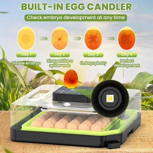 Miniatura 5 de Incubadora de 48 huevos para incubar huevos con giro automático de huevos, control de temperatura y humedad, incubadora de huevos con ventana