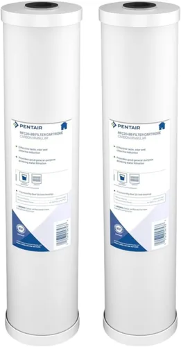 Pentair Pentek RFC-20BB - Filtro de agua de carbono azul grande, 20 pulgadas, cartucho de repuesto de carbono de flujo radial resistente para toda