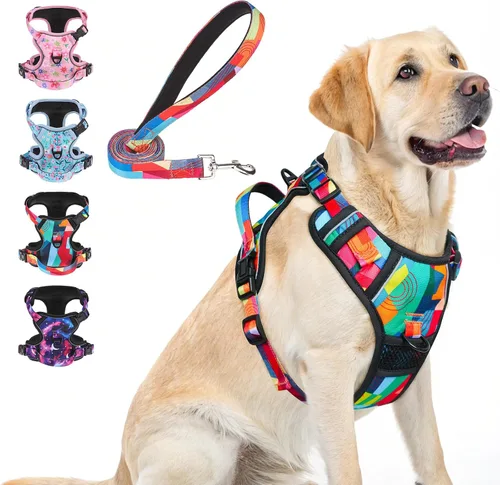 Miniatura 35 de BEAUTYZOO Arnés para perro sin tirones pequeño, juego de arnés y correa ajustable para perro - Fácil de usar con 3 hebillas/mango de control, arnés