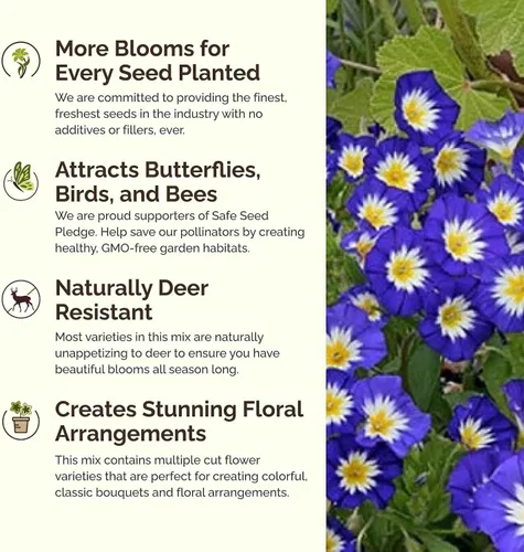 Miniatura 4 de Eden Brothers Blue Ribbon Flower - Semillas mixtas para plantar, 1/4 libra, más de 120,000 semillas con campanilla azul, aciano azul, achicoria