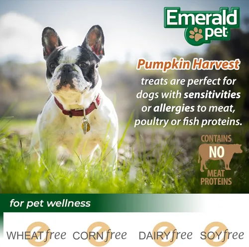 Miniatura 5 de Emerald Pet Pumpkin Harvest Mini Trainers - Golosinas para perros, sabor a calabaza, 6 onzas, golosinas masticables suaves y bajas en grasa