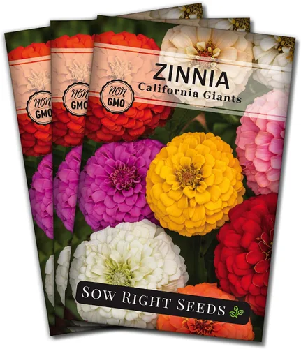 Sow Right Seeds - Mezcla de semillas de zinnia de los Gigantes de California para plantar - Paquete de reliquia sin OMG para cultivar tu jardín de