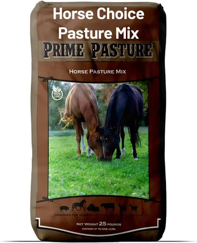 Outsidepride Horse Choice - Mezcla de semillas de pasto y ganado, 25 libras de semillas de césped perennes, tolerantes a la sequía, resistentes al