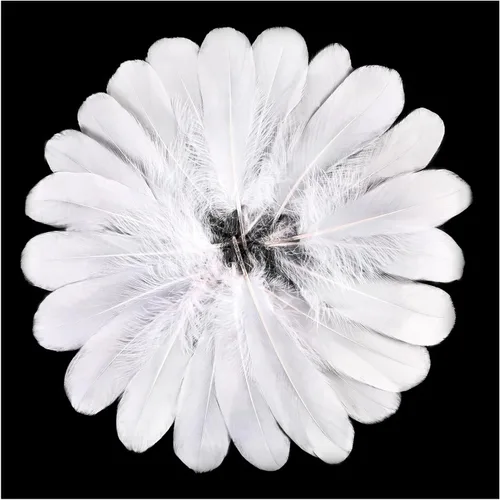 Miniatura 31 de FeelfunFeather 120 piezas de plumas de ganso gris natural de 6-8 Pulgadas 15-20cm, plumas decorativas a granel para manualidades DIY, cosplay