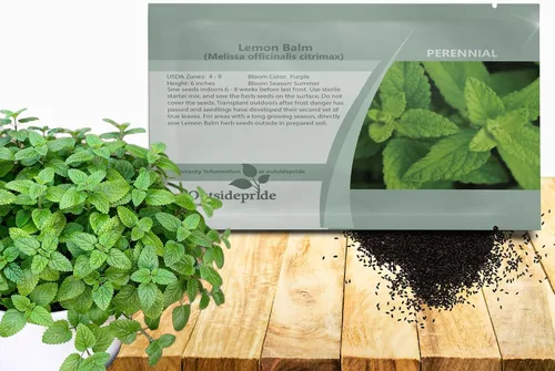 Outsidepride Semillas de bálsamo de abeja de limón, 5,000 semillas perennes, fáciles de cultivar y aptas para polinizadores, semillas de flores de