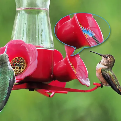 Miniatura 4 de Outus Juego de 15 cepillos de limpieza para comederos de colibríes, mini cepillo de nailon, limpiador para botellas, tubos, tarros, comedero