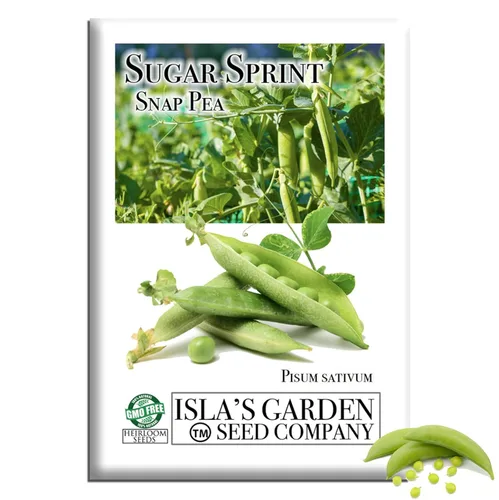 Sugar Sprint Snap Pea Seeds (Pisum sativum) – Más de 25 semillas tradicionales sin OMG de Isla's Garden Seeds, cápsulas comestibles crujientes