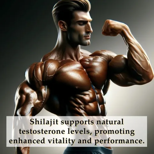 Miniatura 8 de Medical Miracles Shilajit - Gomitas energéticas sin azúcar, 1000 mg, complejo mineral del Himalaya con compuestos fúlvicos, suplemento masticable