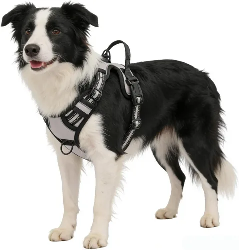Miniatura 19 de Arnés azul para perro sin tirones con 2 clips para correa, chaleco acolchado suave para perros grandes, chaleco reflectante ajustable para perro