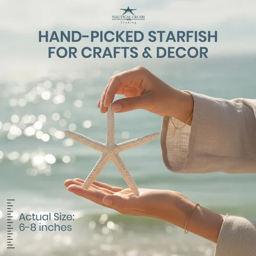 Miniatura 3 de Nautical Crush Trading Decoración de estrella de mar – Peces de estrella para manualidades – Paquete de 10 estrellas reales de mar blanco de 6-8