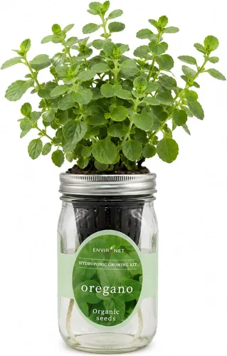 Miniatura 10 de Kit de Cultivo Hidropónico, Kit de Inicio de Jardín de Hierbas en Frasco Mason con Autoriego para Interiores, Jardín de Hierbas para Alféizar