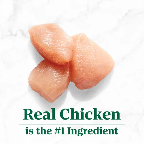 Miniatura 4 de Nutro So Simple Complemento de comida húmeda para perros, receta de pollo en caldo de huesos, bandejas de 2 onzas (10 unidades, paquete de 1)