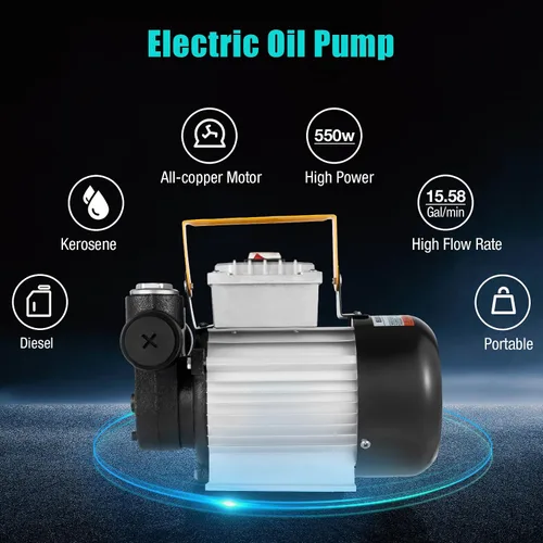 Miniatura 2 de Bomba de aceite eléctrica autocebante de 110 V CA, bomba de transferencia de combustible de 550 W, bombas de biodiésel de queroseno diésel