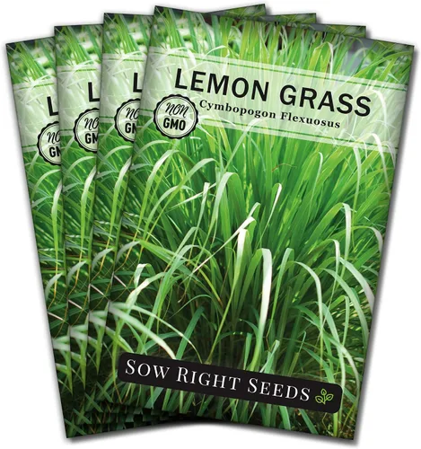Sow Right Seeds - Semillas de hierba de limón para plantar - Reliquia sin OMG - Indias Orientales - Repelente de mosquitos - Ideal para exteriores -