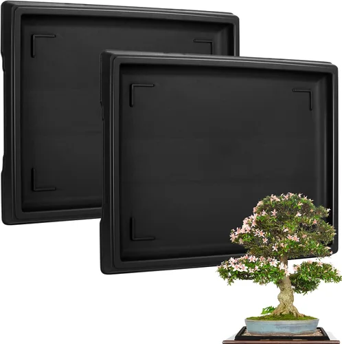 Miniatura 8 de Pinkunn 2 Piezas Bandeja de Humedad para Bonsái Bandeja de Goteo Plásticas Captador de Agua para Plantas Platillos para Interiores y Exteriores
