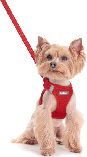 Miniatura 134 de rabbitgoo Juego de arnés para perro de tamaño pequeño y correa, chaleco ligero suave para cachorro, arnés de malla transpirable para mascotas