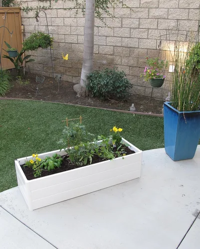 Miniatura 6 de NuVue Products 26005 - Cama de jardín con terraza al aire libre para cultivar plantas y flores comestibles, caja elevada con panel de veta de madera