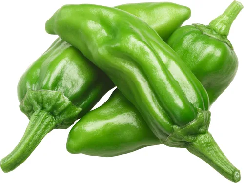 Semillas de pimiento - Dulce - Pepperoncini italiano - Paquete de 500 mg ~ 60 semillas - Capsicum annuum - Semillas de vegetales de granja y jardín