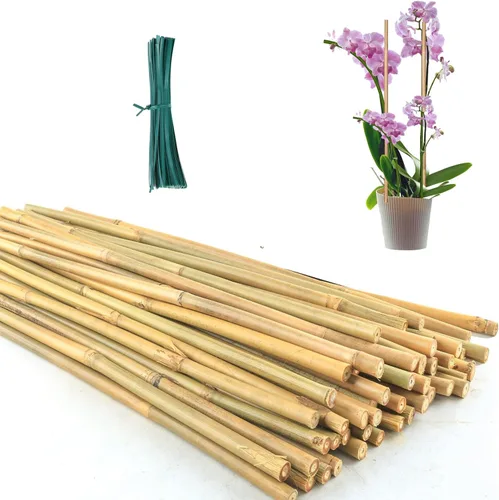 Miniatura 9 de Estacas de bambú de 4 pies con 100 bridas giratorias, estacas de jardín de bambú natural para tomates, pepino, uvas, judías, árboles, flores