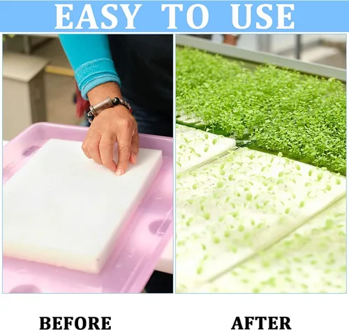 Miniatura 5 de 600 esponjas hidropónicas, herramienta de jardinería, cultivo sin suelo, esponjas de plántulas, esponja de cultivo invernadero para crecimiento