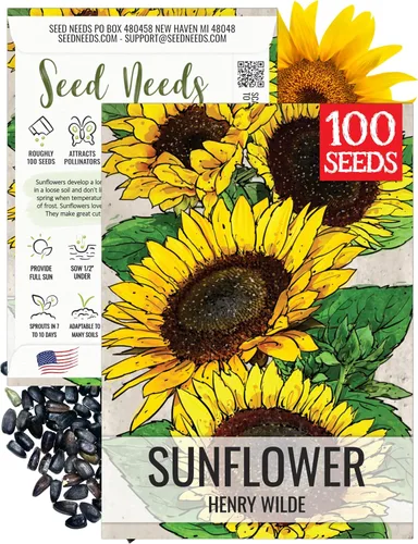 Miniatura 54 de Seed Needs Semillas de girasol para plantar girasoles de manchas solares enanas, semillas de flores de corte anual de polinización abierta