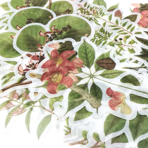 Miniatura 4 de allydrew Calcomanías decorativas para álbumes de recortes, Washi, manualidades para papelería, diario, fabricación de tarjetas (60 piezas), Verde