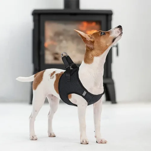 Miniatura 7 de Dogline York Step-in Air - Arnés de malla para perro, sin estrangulamiento, chaleco suave acolchado en el pecho para cachorros, perros pequeños