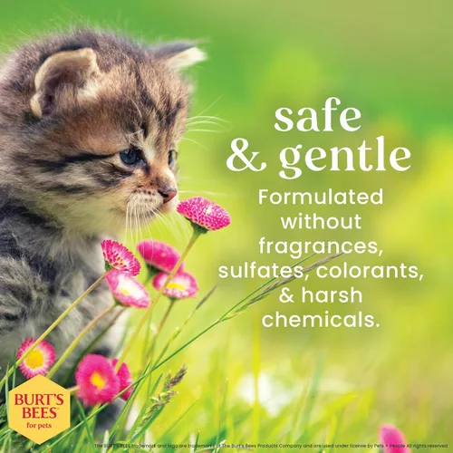 Miniatura 5 de Burt's Bees for Pets Champú para gatitos sin lágrimas con suero de mantequilla, fórmulas 99.3% de origen natural, champú para mascotas para gatos