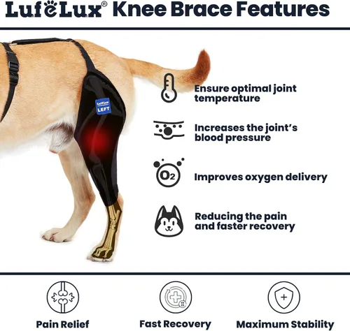 Miniatura 2 de Rodillera para perro con arnés y cinturón de conexión, ligera y elástica, soporte para pierna trasera desgarrada del ligamento cruzado anterior