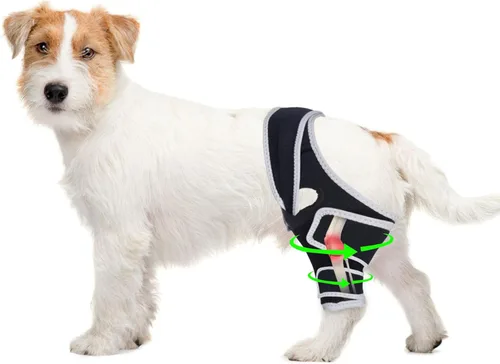 Rodillera para perro para pierna trasera desgarrada del ligamento cruzado anterior, rodilleras de perro con lesiones de ligamento cruzado patas