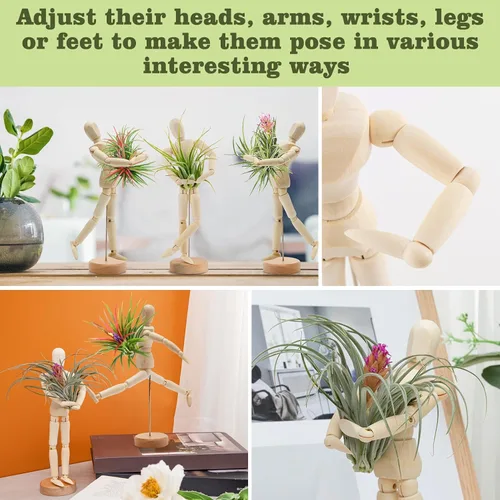 Miniatura 6 de ANPHSIN Soporte de Madera para Plantas de Aire de 2 Tamaños - Soporte Único Articulado de Maniquí para Plantas de Aire con Poses Ajustables