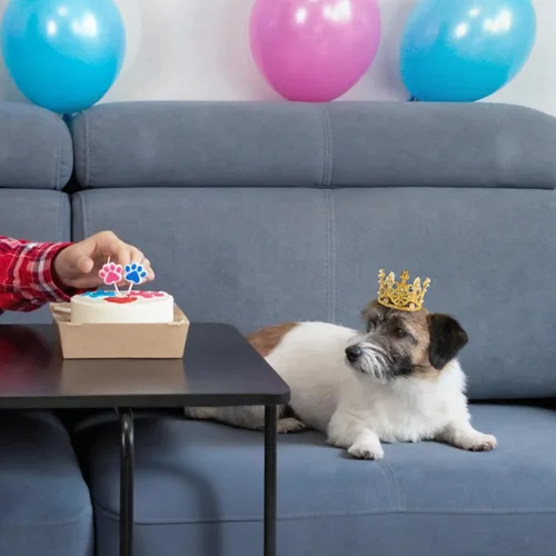 Miniatura 5 de Fabbay 15 piezas de corona de metal para torta de princesa para cupcakes, ramos de flores, tiara para el día del padre, mujeres, cumpleaños, novia