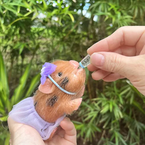 Miniatura 4 de OtardDolls Muñecas de cerdo mini realistas, muñecas de cerdito reborn de silicona completa de 5 pulgadas, cerdito recién nacido súper suave