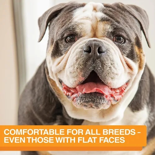Miniatura 8 de Neater Feeder Express Cuencos para Perros a Prueba de Desorden Elevados para Razas Medianas y Grandes – Fabricado en EE. UU. – Comedero Lento