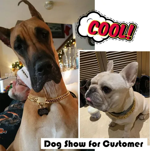 Miniatura 5 de PRADOG Collar de perro con cadena de oro con cierre de circonita, acero inoxidable de 18 quilates, collar de metal resistente para cachorros, collar